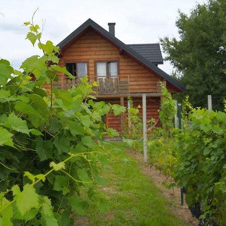 Villa Dom Pachnacy Zywica Bochnia Esterno foto