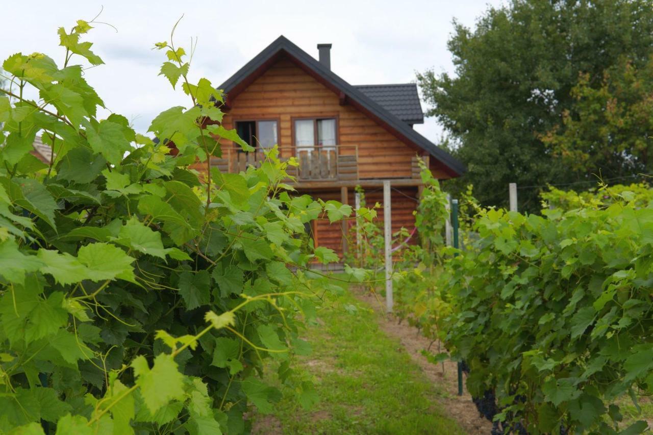 Villa Dom Pachnacy Zywica Bochnia Esterno foto
