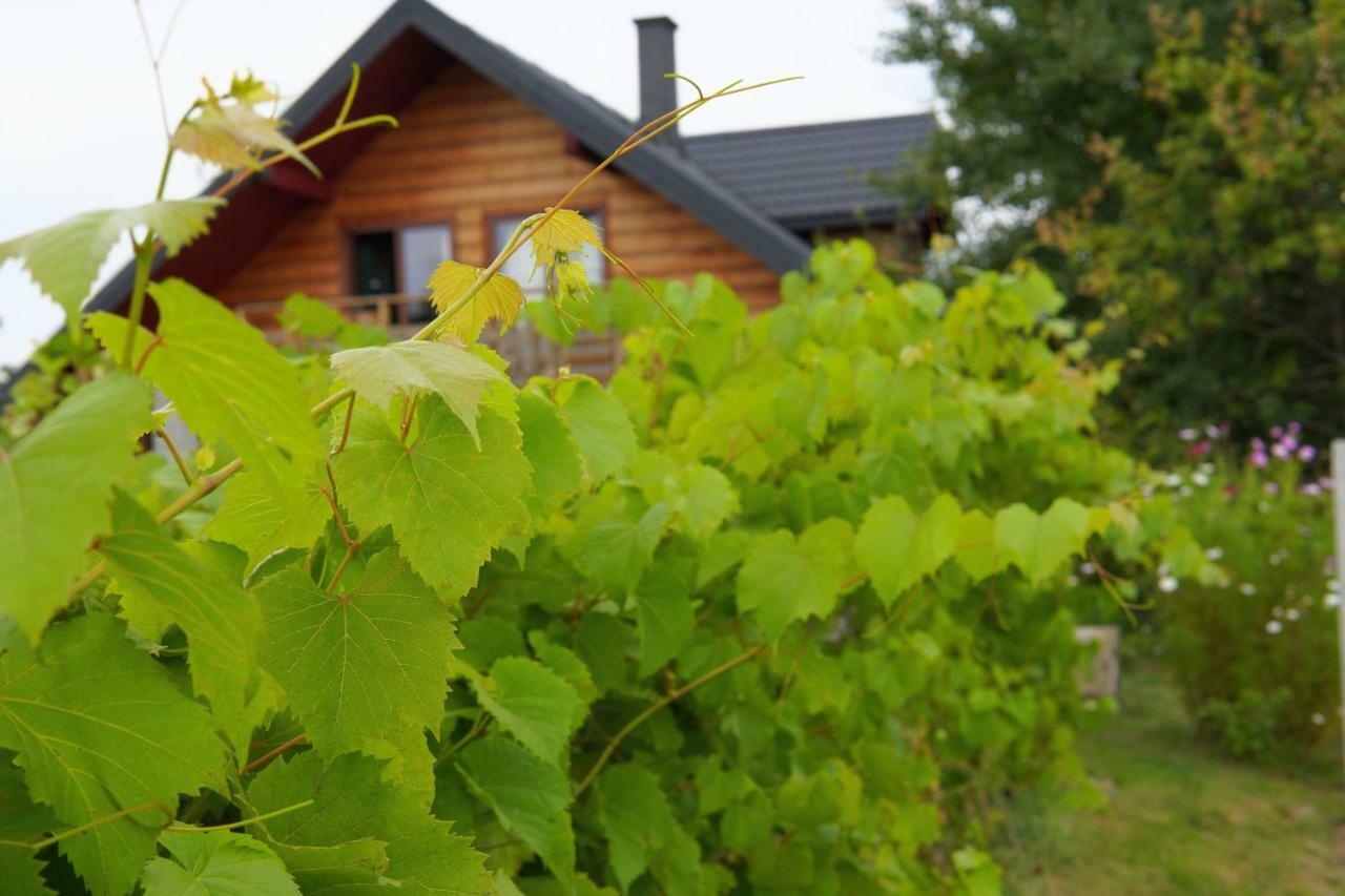 Villa Dom Pachnacy Zywica Bochnia Esterno foto