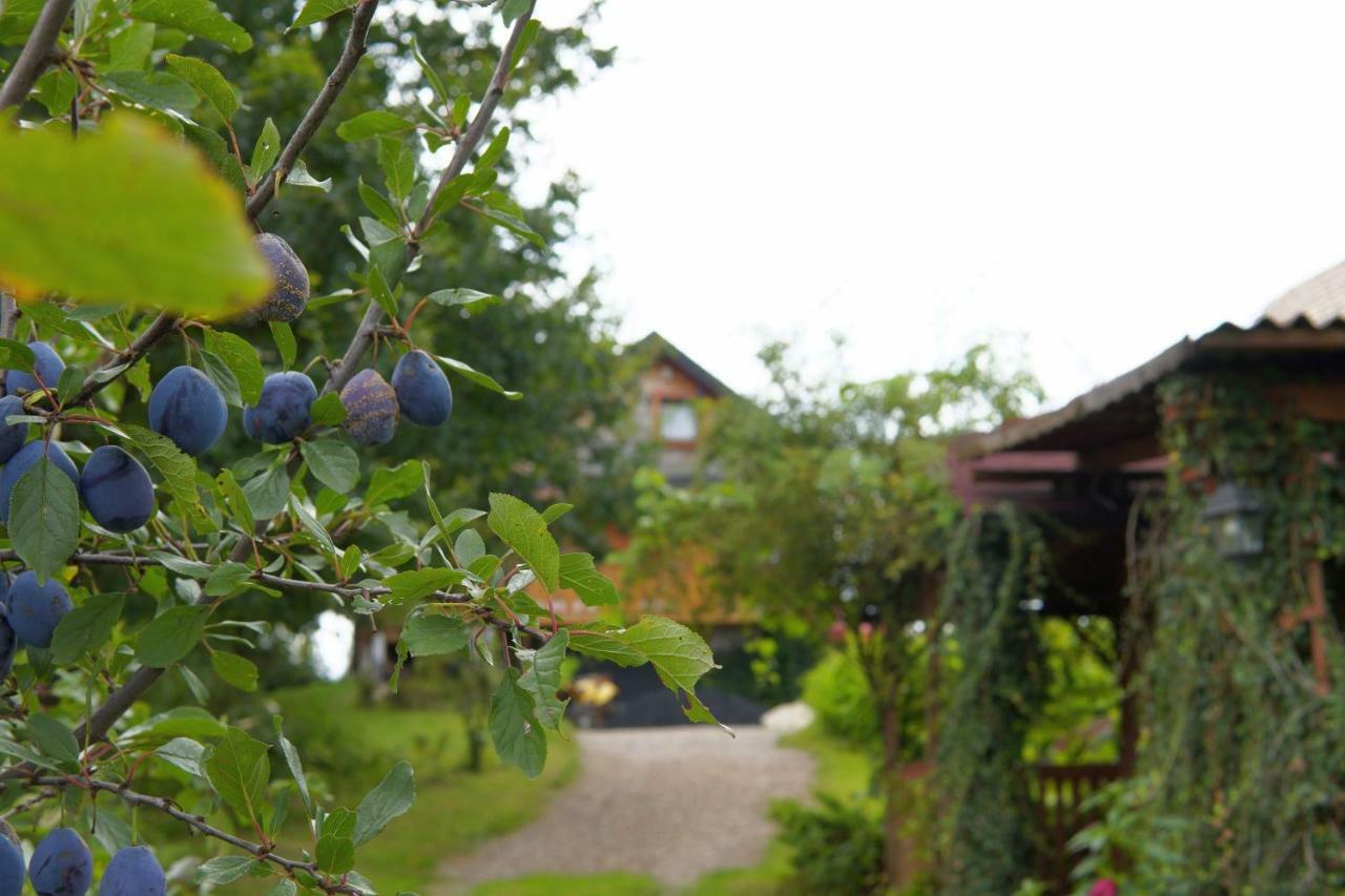 Villa Dom Pachnacy Zywica Bochnia Esterno foto